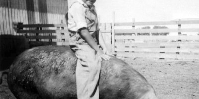 Iowa Farm boy on a Hog