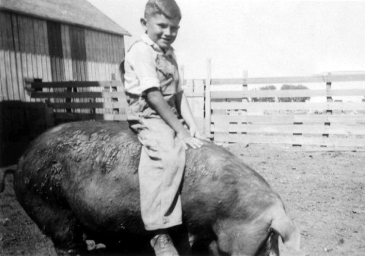 Iowa Farm boy on a Hog