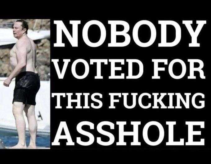 No one voted for Elon Musk
