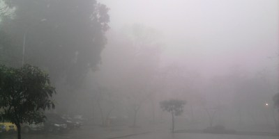 Banhtrung1, CC0, via Wikimedia Commons